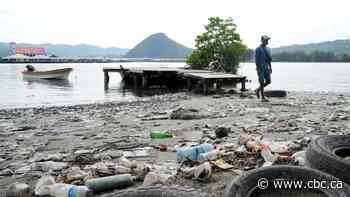 Final UN plastic treaty talks reach halfway mark