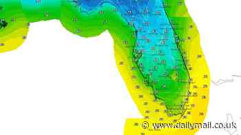 Floridians brace for extreme polar cold front after urgent freeze warning is issued to these cities