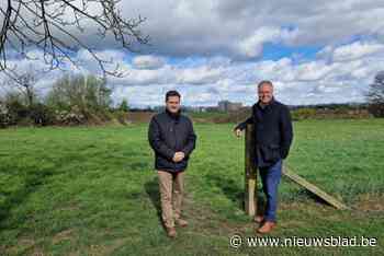 Verkaveling in Reysberg definitief van de baan: zes hectare woongebied wordt open ruimte