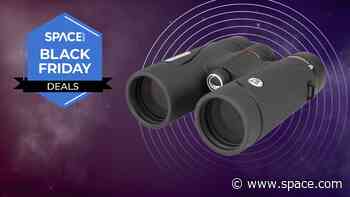 Black Friday deal: These top Celestron binoculars have a 25% discount