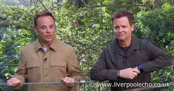 Ant and Dec share ITV I'm a Celeb secret as fans complain 'so wrong'