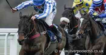 Horse Power: Victtorino for victory in the Coral Gold Cup at Newbury