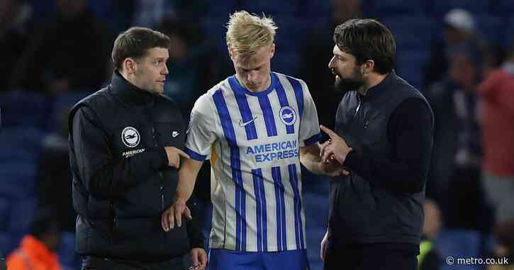 Russell Martin and Fabian Hurzeler explain bust-up after Brighton draw vs Southampton