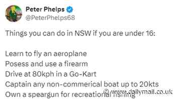 'Ridiculousness' of Australia's social media ban summed up in single post on X