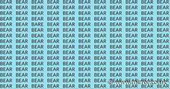 Only a true genius can decipher word bare hidden in sea of bears in 10 seconds