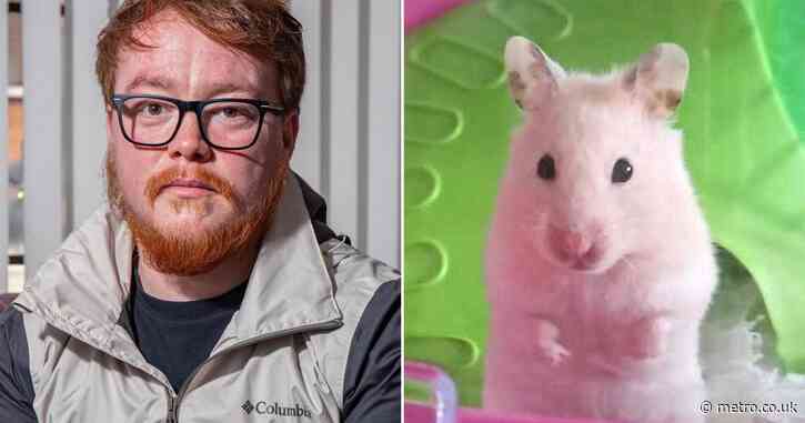 Dad nearly dies after being bitten by family’s pet hamster