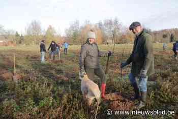 Bedrijven planten duizend bomen: “Verbinding tussen Tafelbos en Boekhoutbos”