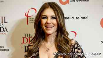 Elizabeth Hurley steals the show in plunging sheer dress on the red carpet