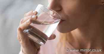 Gut health experts reject myth that drinking water with meals is bad for you