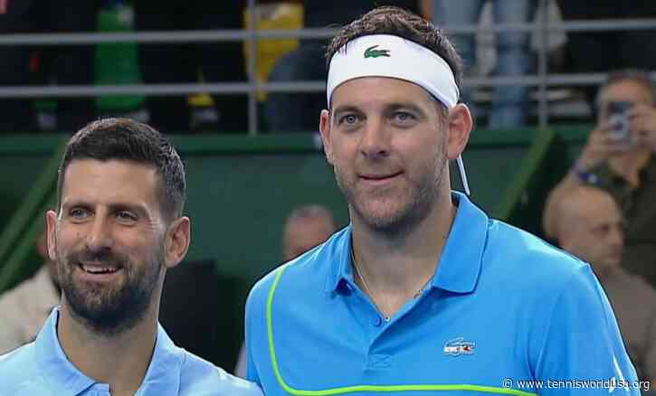 Juan Martin del Potro beats Novak Djokovic and ends his career