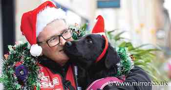 Big Issue sellers open up about their special relationship with their dogs