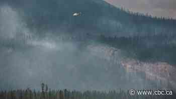 Long-term exposure to wildfire smoke associated with increased risk of dementia: study