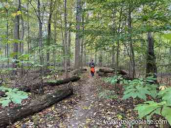 Howard Collier State Nature Preserve is added to Old-Growth Forest Network