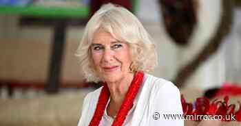 Queen Camilla pulls out of latest royal meeting with update on 'nasty' infection