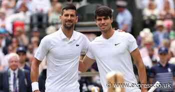 Novak Djokovic and Carlos Alcaraz on collision course as pair handed nightmare draw