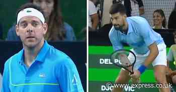 Novak Djokovic delights crowd after granting Juan Martin del Potro's Rafael Nadal request