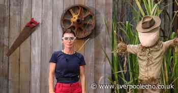 ITV I'm a Celebrity trial slammed by fans as it is 'replaced'