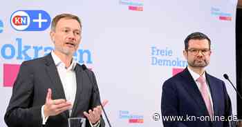 Demokratieforscher: FDP schadet Ansehen von Parteien und Politikern