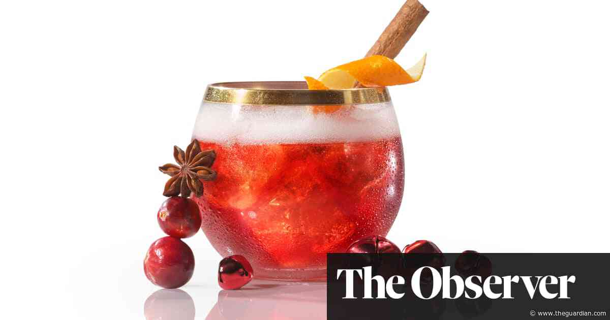 Negroni punch recipe by Jared Brown and Anistatia Miller