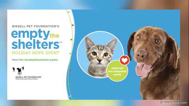 Foundation sponsoring adoption fees throughout December to help shelter pets go home for the holidays