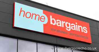 Home Bargains shoppers 'running' to get £2.99 answer to £21 product