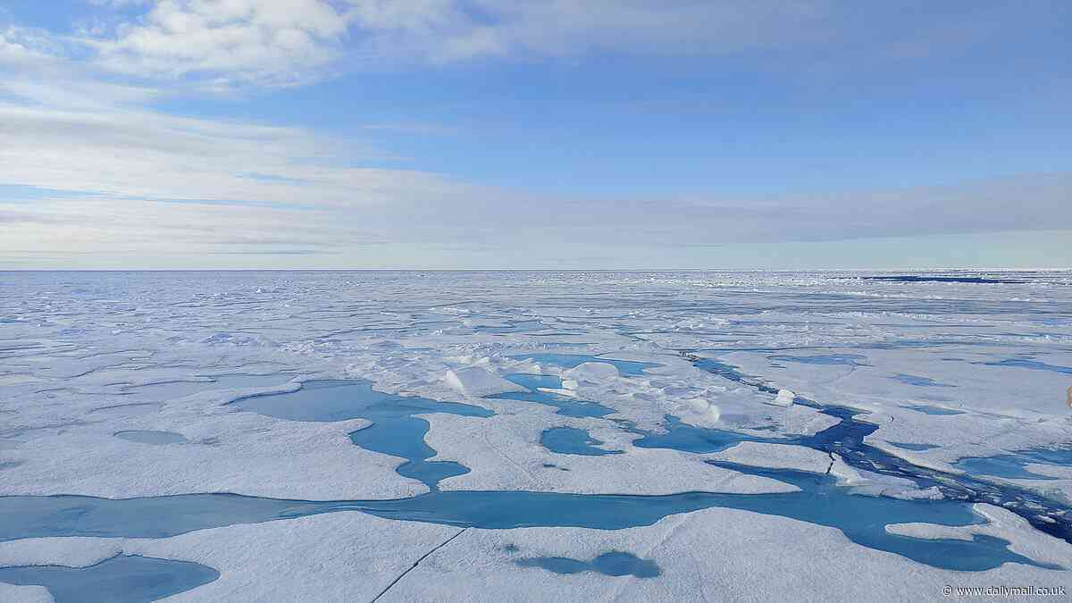 The Arctic could be ice free by 2027 - marking an 'ominous milestone' for the planet, scientists warn