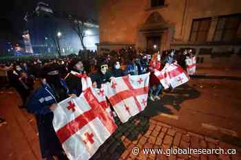 The Irish and Georgian Protests – A Comparison of Reactions