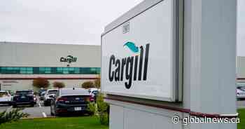 Food giant Cargill is slashing 5% of global workforce—around 8K jobs