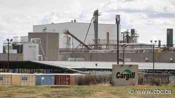 Cargill plans to slash roughly 8,000 jobs globally