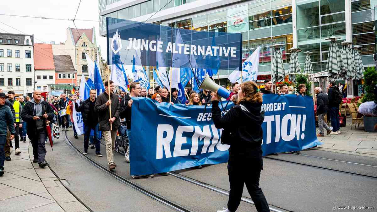 Was die AfD mit ihrer Jugendorganisation "Junge Alternative" plant