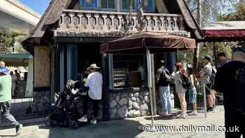 Viral menu item draws long lines at Disneyland: 'It's the best thing I've tasted'