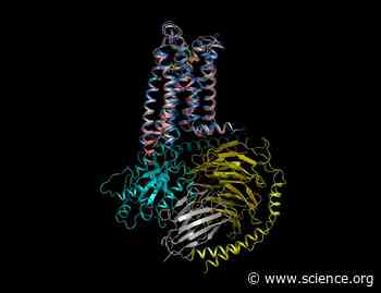 Structural insights into the high basal activity and inverse agonism of the orphan receptor GPR6 implicated in Parkinson’s disease | Science Signaling