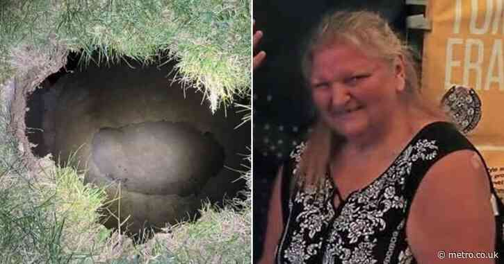 Search for grandma who ‘fell into sinkhole’ looking for her missing cat