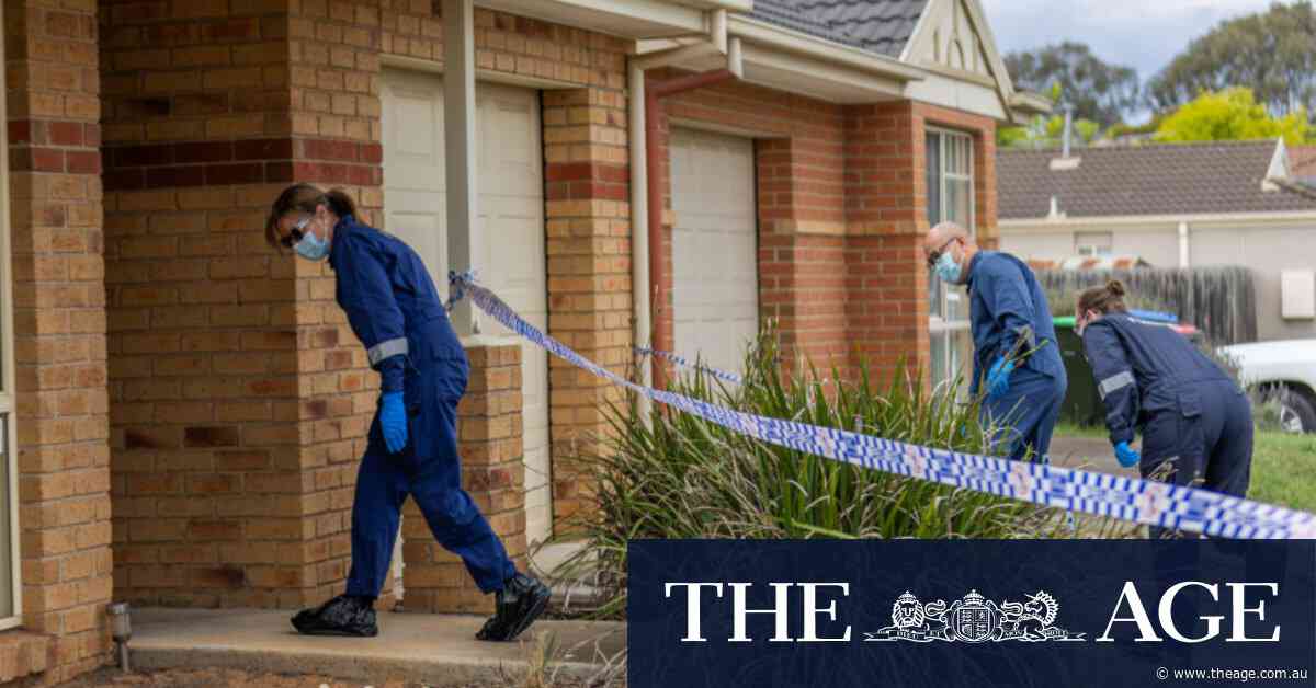 Man charged with murder over alleged hammer attack on carer