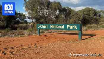 Human skull believed to be historical Indigenous remains found in outback