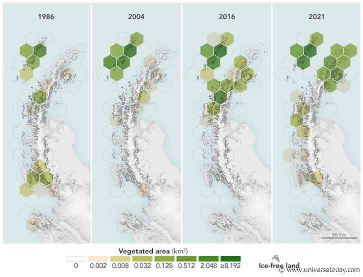 Antarctica Has Gotten 10 Times Greener in 35 Years