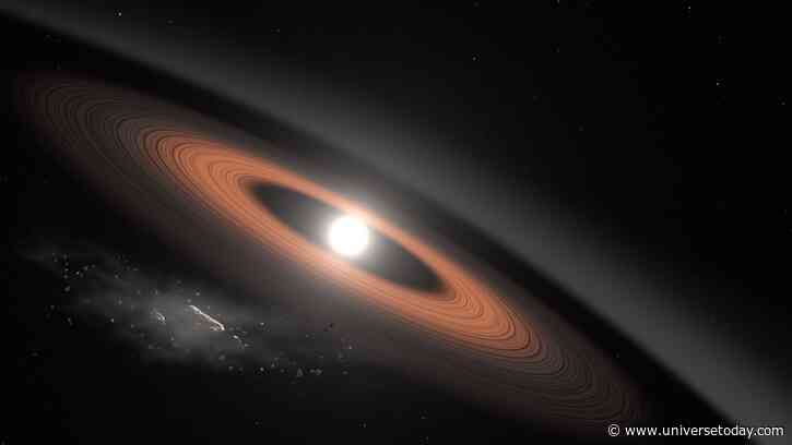 White Dwarfs Could Have Habitable Planets, Detectable by JWST