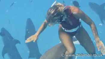 Horrifying moment woman is attacked by a SHARK while diving