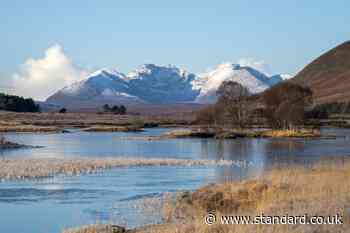 Campaigners present ‘vision of hope’ for Scotland to become rewilding nation