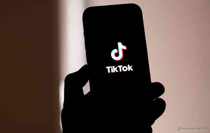 These were the top tracks and artists on TikTok in 2024