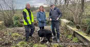 Bridge installed as former Northumberland railway line step closer to re-opening as greenway