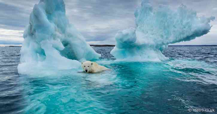 Ominous milestone in the Arctic which could happen by 2027