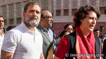 Rahul, Priyanka Join In As INDIA Bloc Leaders Continue Protest Over Adani Issue, JPC Probe Demand — WATCH