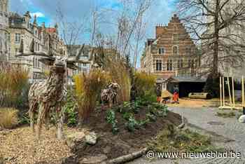 Honderden planten en 250 ton aarde aangevoerd voor wintertuin aan stadhuis