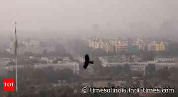 Delhi air pollution: GRAP-4 restrictions in NCR lifted after SC order; AQI improves to ‘moderate’