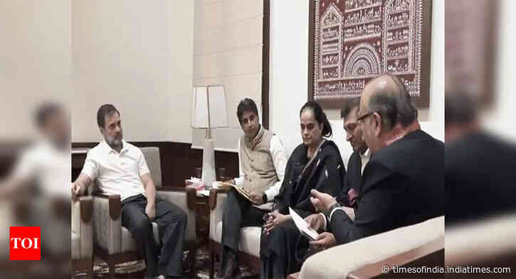 Rahul Gandhi meets environmental delegation, assures to raise 'air pollution' issue in Parliament