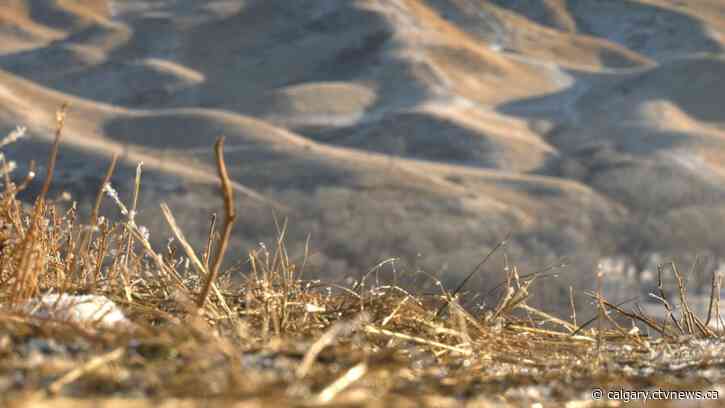 A new partnership looks to improve and maintain trails in Lethbridge's river bottom