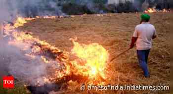 Punjab mopped up Rs 2 crore in farm fire penalties, Haryana Rs 21 lakh