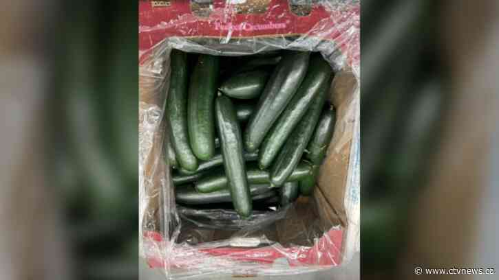 Salmonella cucumber recalls include products that may not be labelled: CFIA