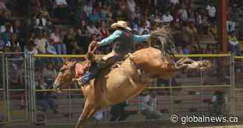 Meet the B.C. rider inducted into the National Cowgirl Hall of Fame